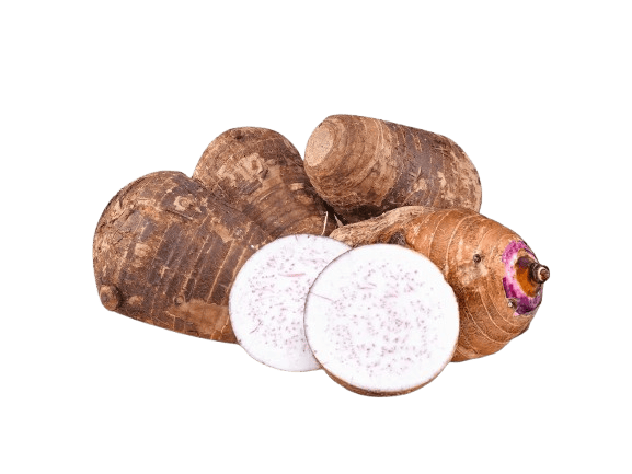 Malanga Coco